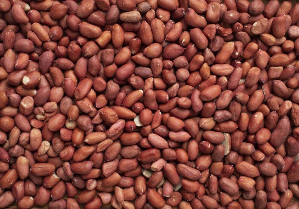 Ground Nuts by O’Celine Organic Limited