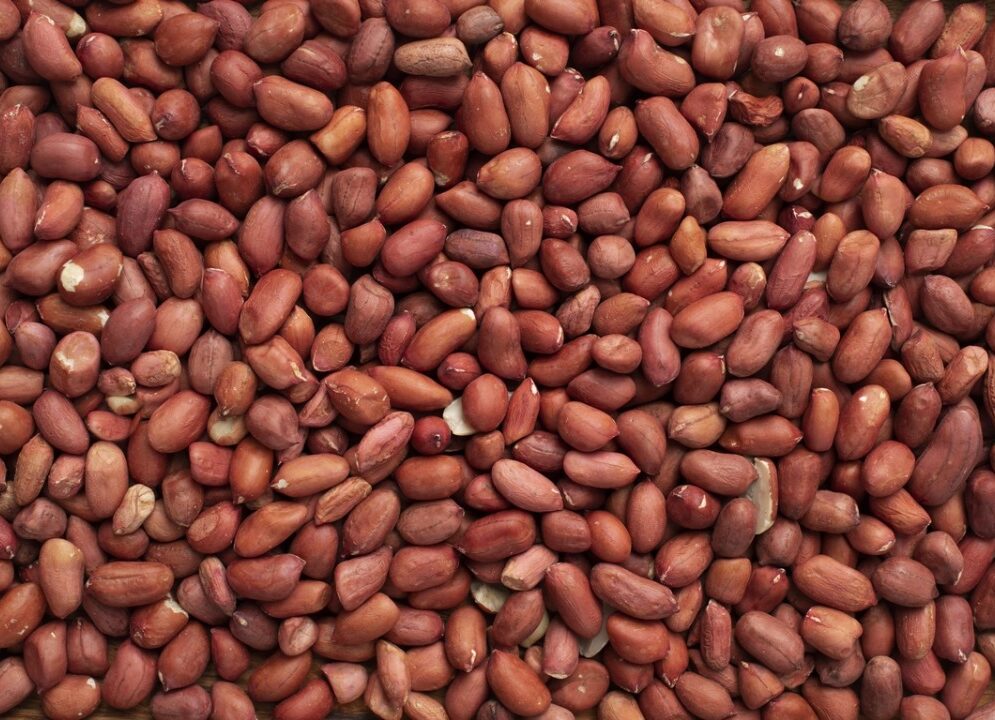 Ground Nuts by O’Celine Organic Limited