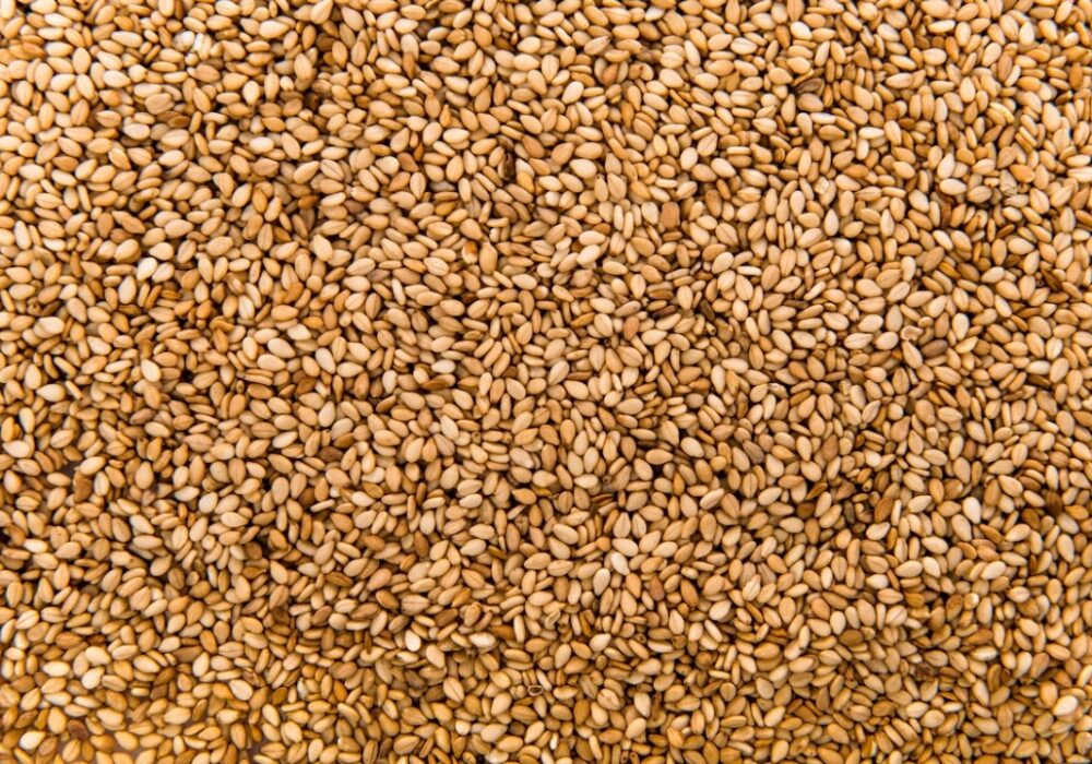 Natural Sesame Seeds - O'Celine Organic Limited