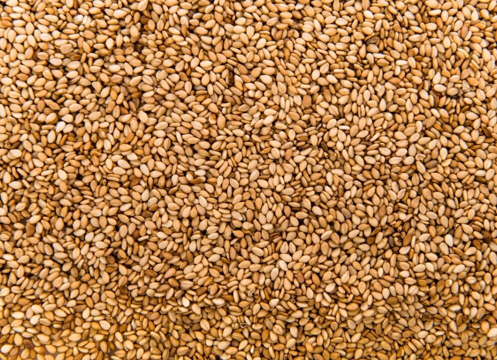 Natural Sesame Seeds - O'Celine Organic Limited