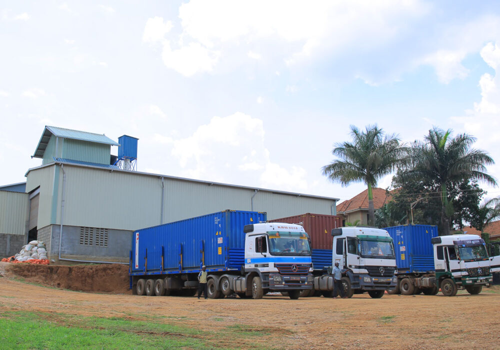 Seed Processing Service by O’Celine Organic Limited