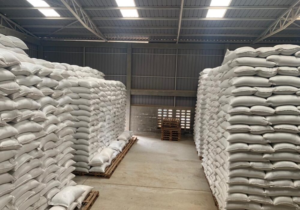 Storage and Holding services