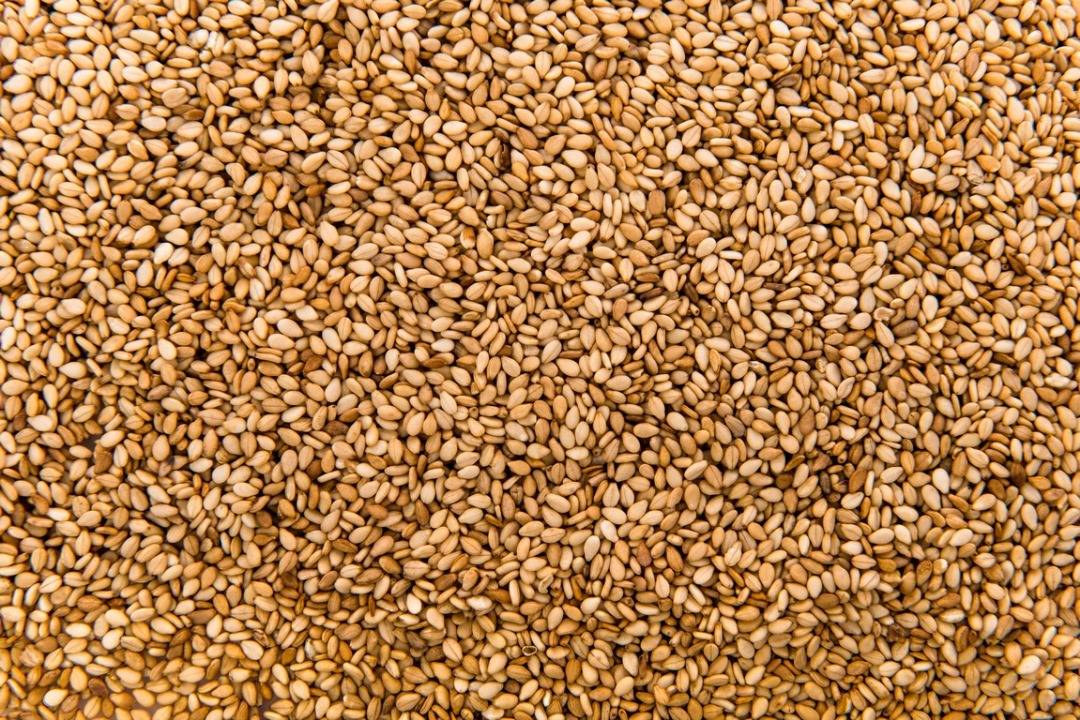 Natural Sesame Seeds